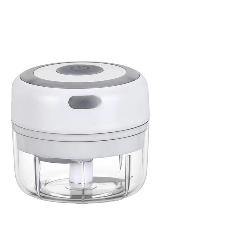 White and clear mini electric garlic chopper with a stainless steel blade transparent bowl and push button for quick food preparation