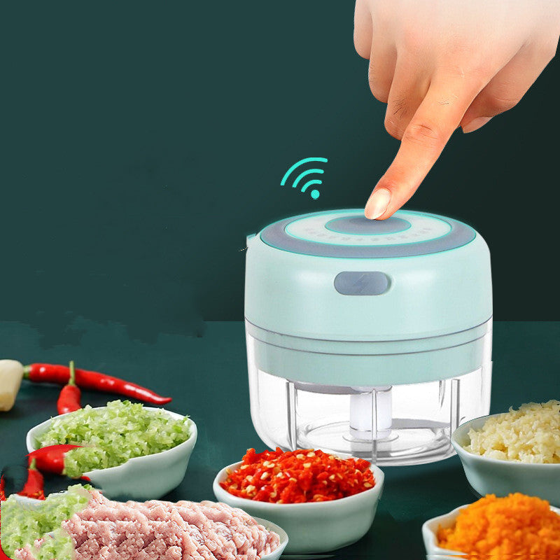 Mini electric USB garlic chopper with stainless steel blade and clear bowl shown chopping garlic and vegetables with one touch operationાન્ય