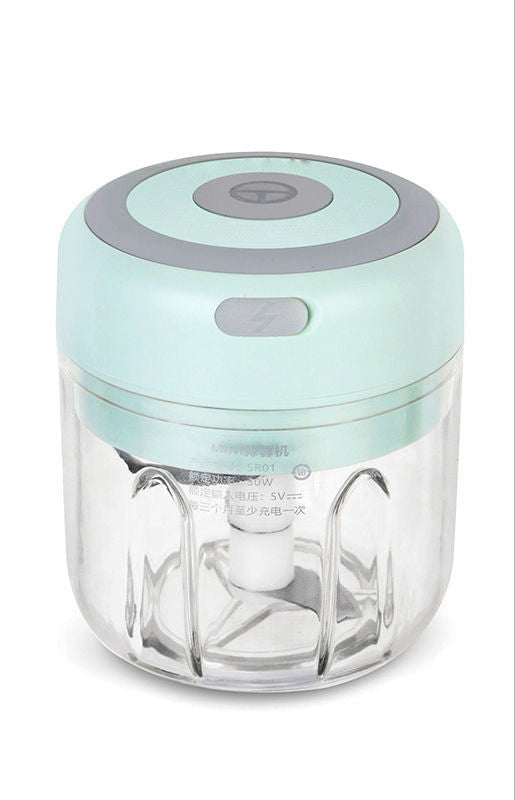 Compact electric kitchen chopper with a mint green lid, clear bowl, stainless steel blades, and one touch button for quick garlic and food preparation