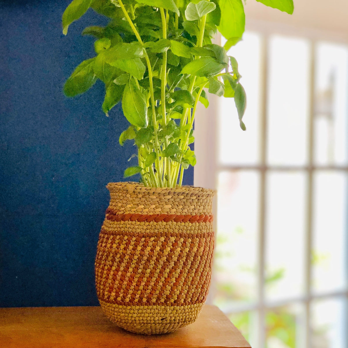 Auburn striped woven basket planter holding a lush green houseplant on a wooden table with natural light from a window Home beyond decor by DC Powered by People