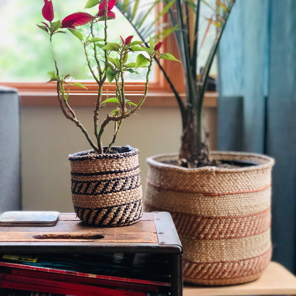 Auburn striped woven basket with a leafy plant beside a larger natural fiber basket indoors creating stylish home decor from DC Powered by People
